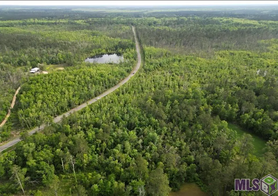 27170 Blood River Rd, Springfield, LA 70462 - #1