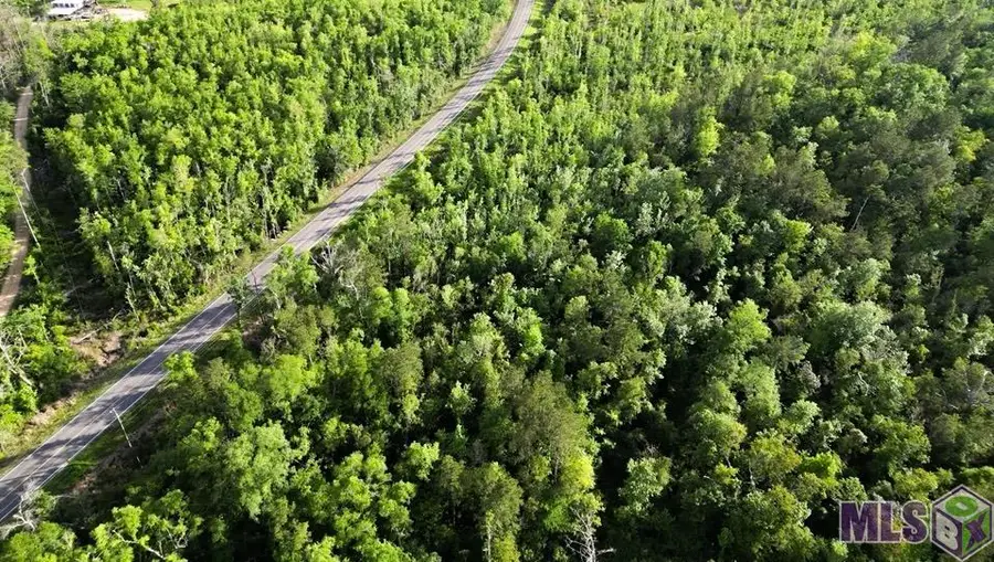 27170 Blood River Rd, Springfield, LA 70462 - #2