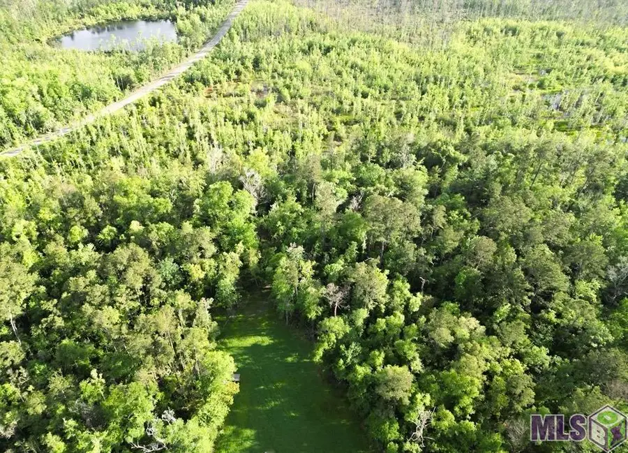27170 Blood River Rd, Springfield, LA 70462 - #3