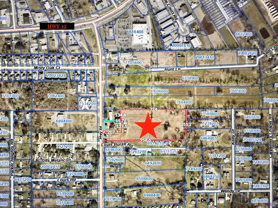 6.8 Acres La Hwy 44, Prairieville, LA 70769 - #3