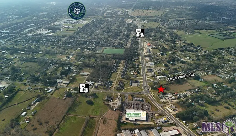 40512 La Hwy 42, Prairieville, LA 70769 - #3