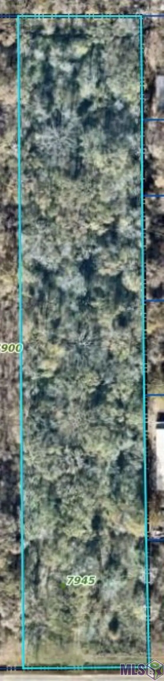 7945 Main St N, Zachary, LA 70791 - #2