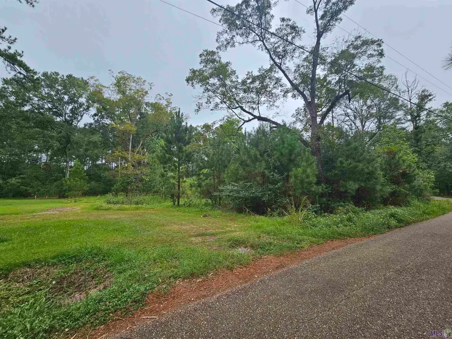 19435 Aydell Ln, French Settlement, LA 70733 - #2