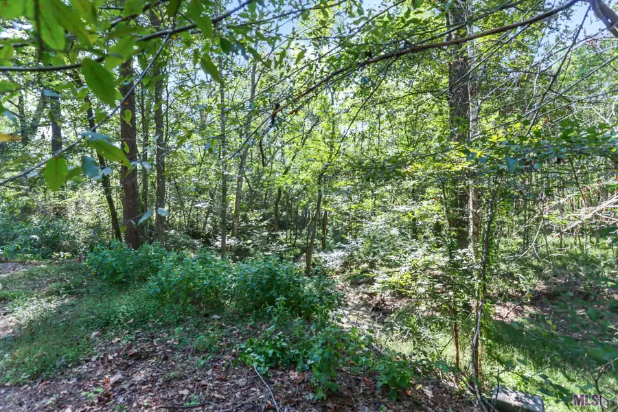 14066 Dogwood Trace, Saint Francisville, LA 70775 - #2