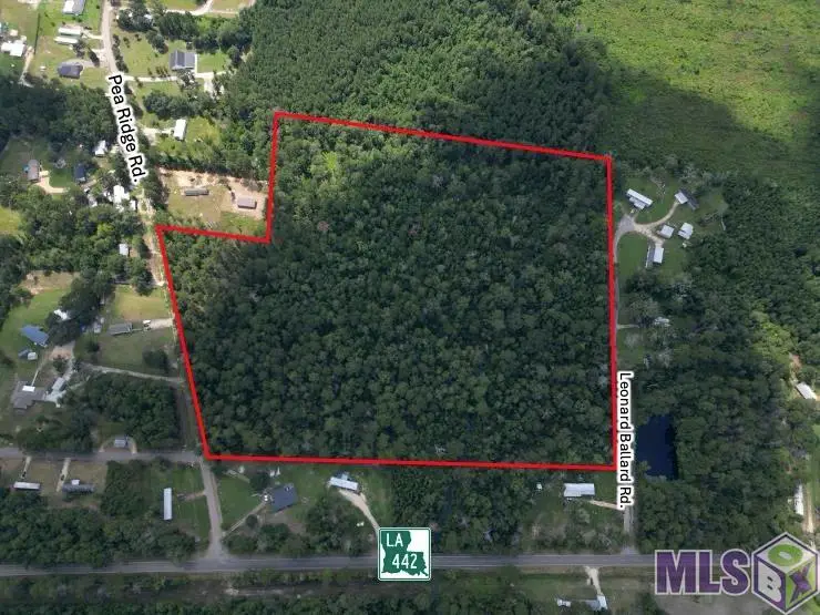 TBD Pea Ridge Rd, Albany, LA 70711 - #2