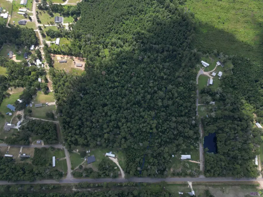 TBD Pea Ridge Rd, Albany, LA 70711 - #3