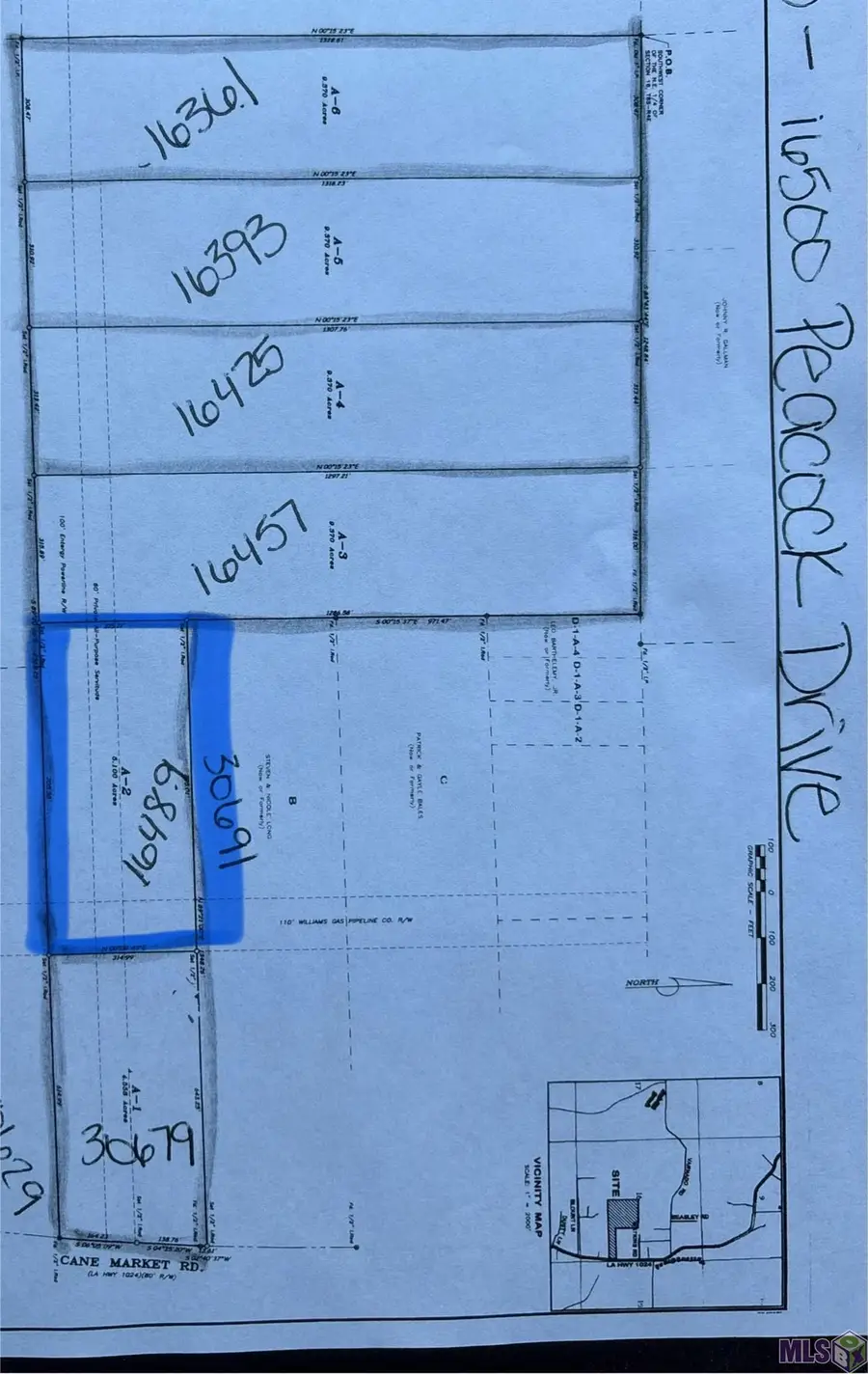 16489 Peacock Drive, Walker, LA 70785 - #2