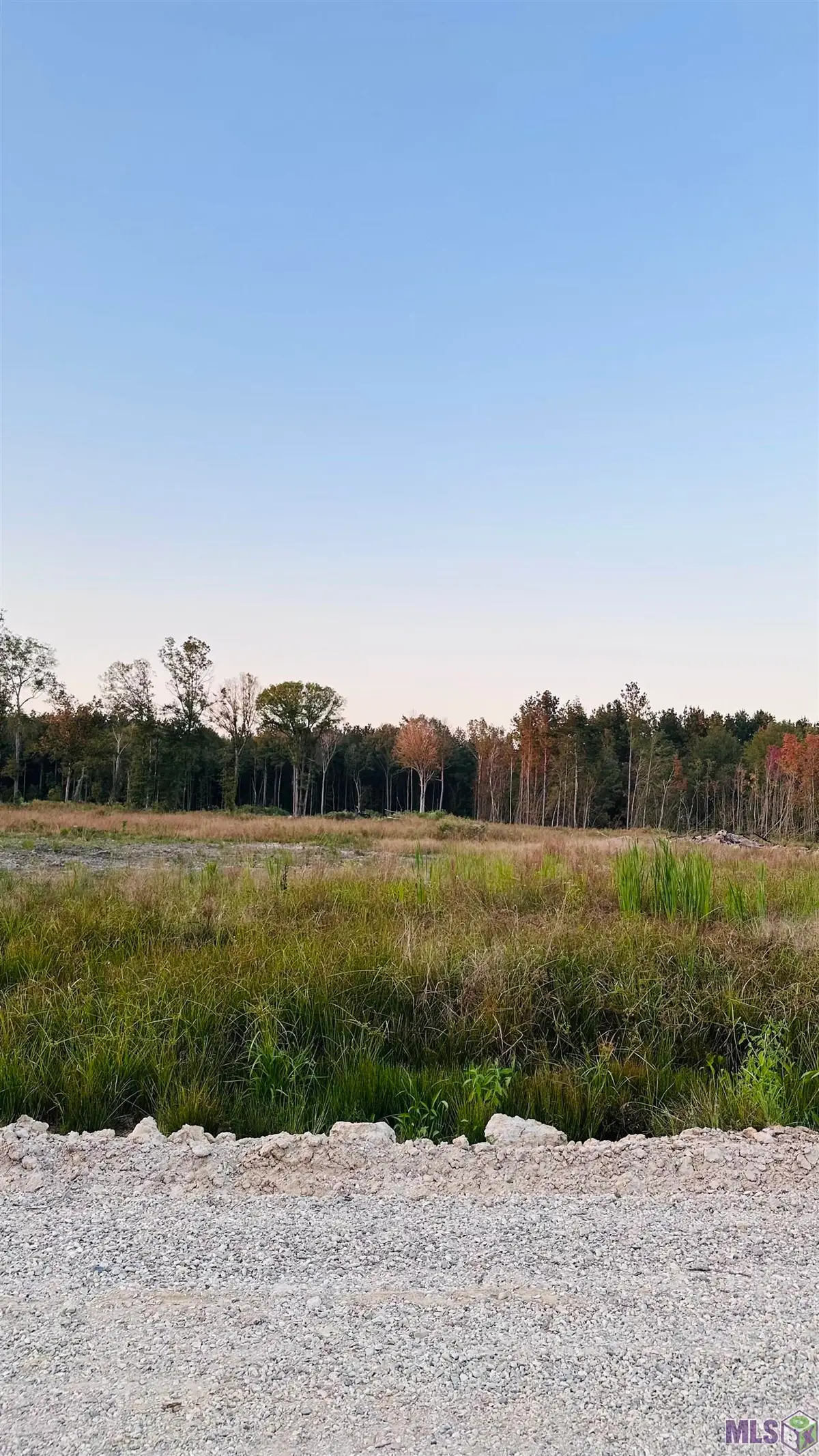 16457 Peacock Drive, Walker, LA 70785 - #1