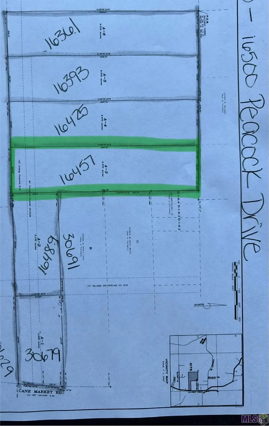 16457 Peacock Drive, Walker, LA 70785 - #2