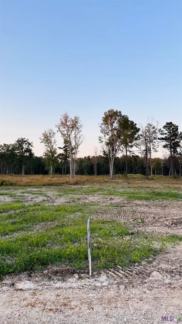 16425 Peacock Drive, Walker, LA 70785