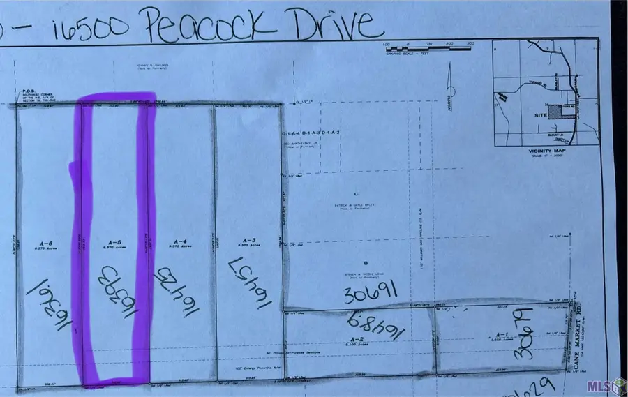 16393 Peacock Drive, Walker, LA 70785 - #2