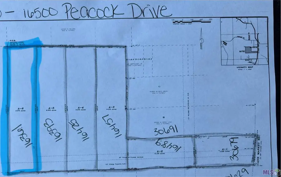 16361 Peacock Drive, Walker, LA 70785 - #2