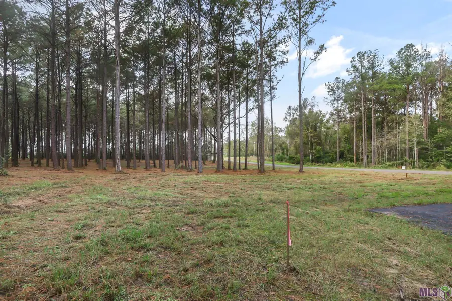 80114 Rosemary Lane, Saint Francisville, LA 70775 - #3