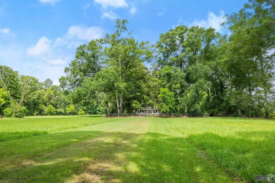 29809 S Cafe Line Rd, Albany, LA 70711 - #2