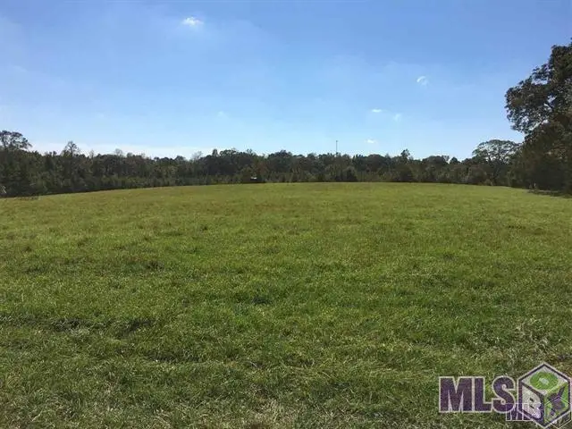 B-5-B-1-A La Hwy 67, Clinton, LA 70722 - #3