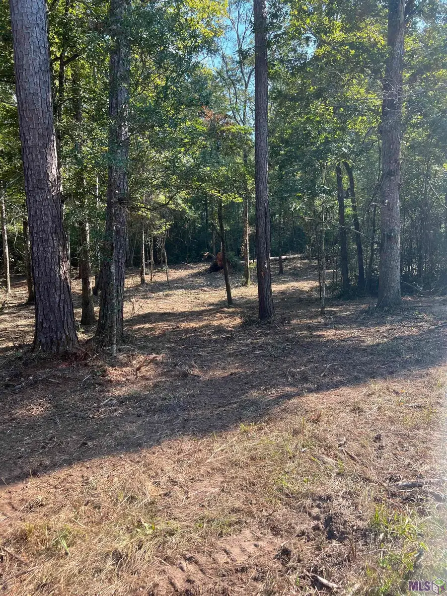 B-3-3, B-3-4 La Hwy 10, Clinton, LA 70722 - #2