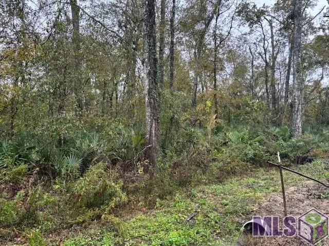 6-B Prince Rd, Saint Amant, LA 70774 - #2