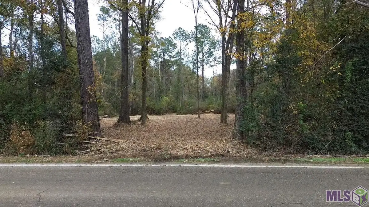 Parcel 2-A Hano Rd, Independence, LA 70443 - #1