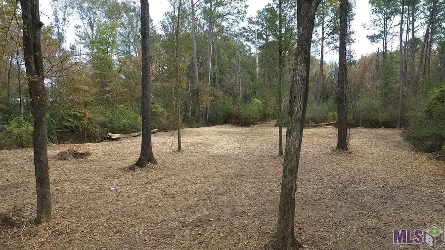 Parcel 2-A Hano Rd, Independence, LA 70443 - #3