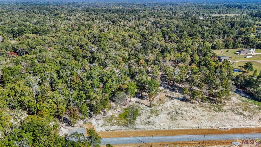 N-2-D-4 Little Azalea Drive, Zachary, LA 70791 - #3