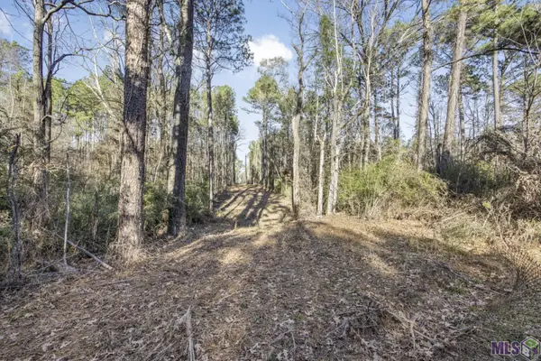 TBD La Hwy 967, St. Francisville, LA 70775