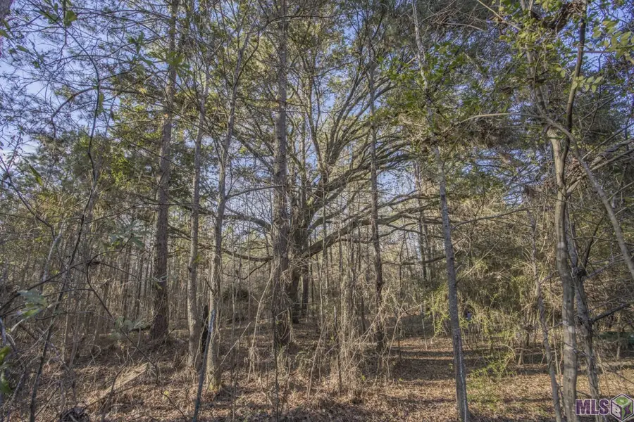 TBD La Hwy 967, Saint Francisville, LA 70775 - #2