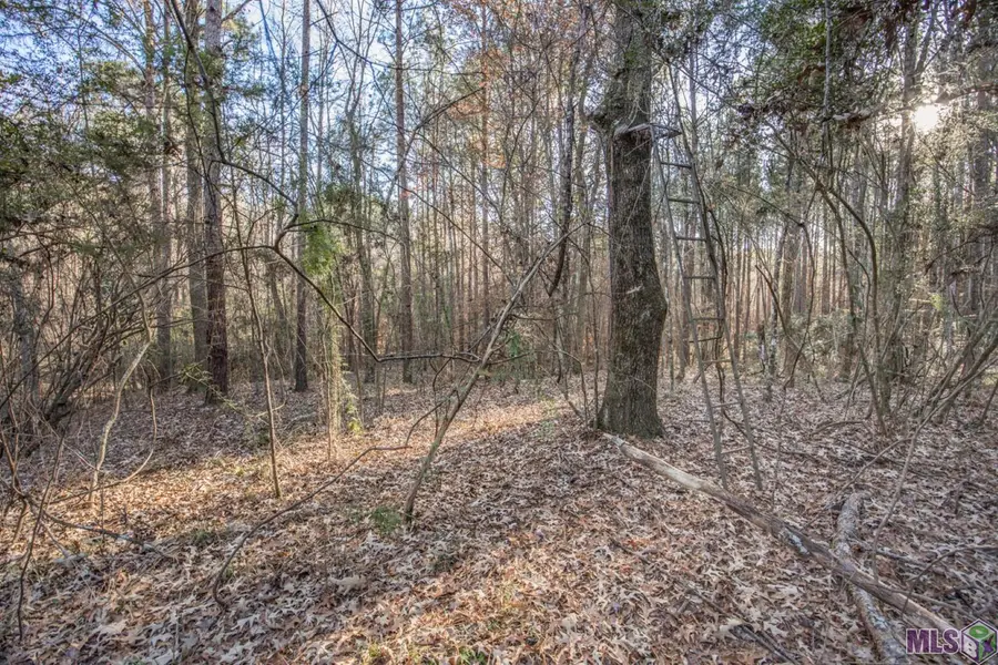 TBD La Hwy 967, Saint Francisville, LA 70775 - #3