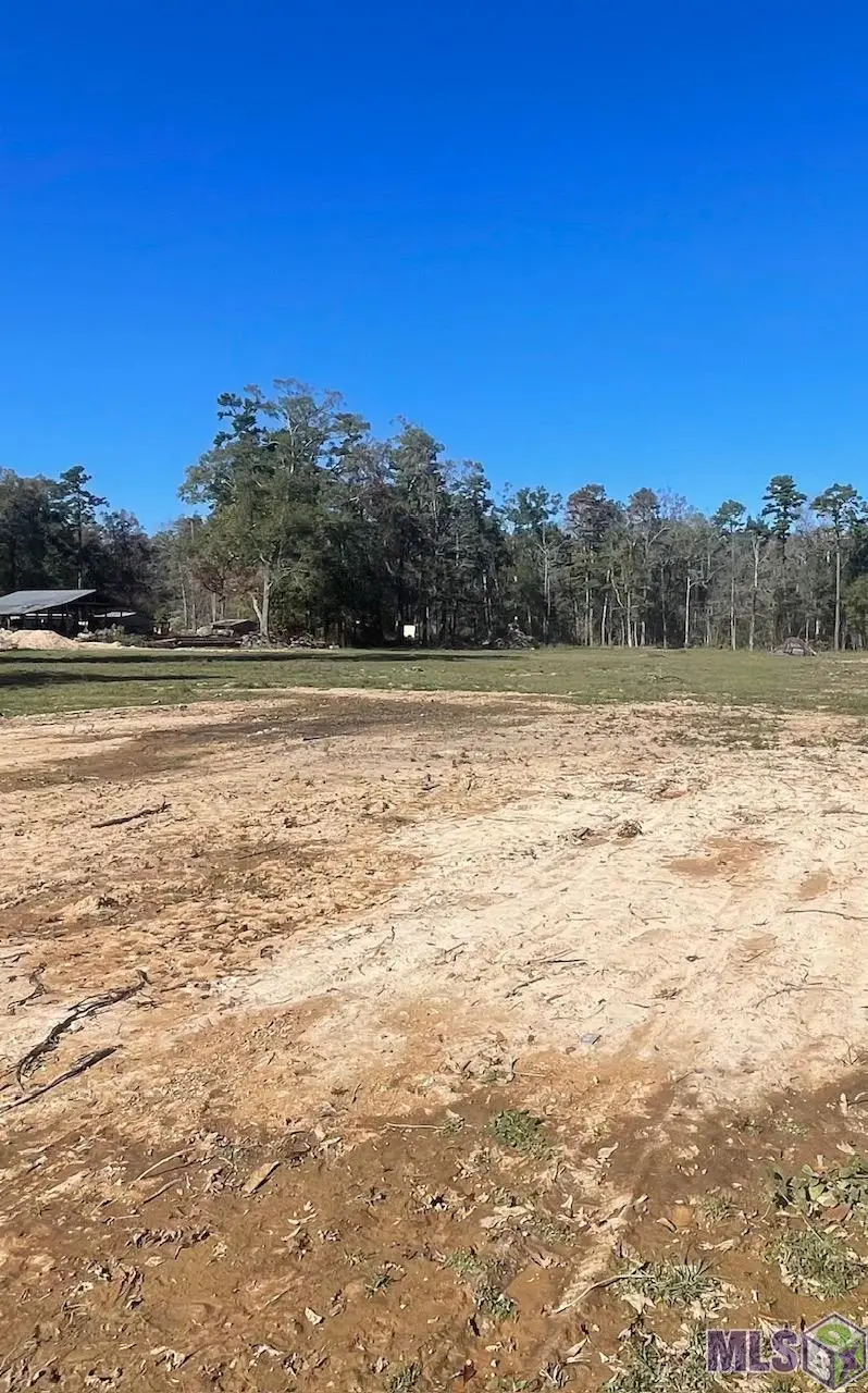 8629 Arnold Rd, Denham Springs, LA 70726 - #2