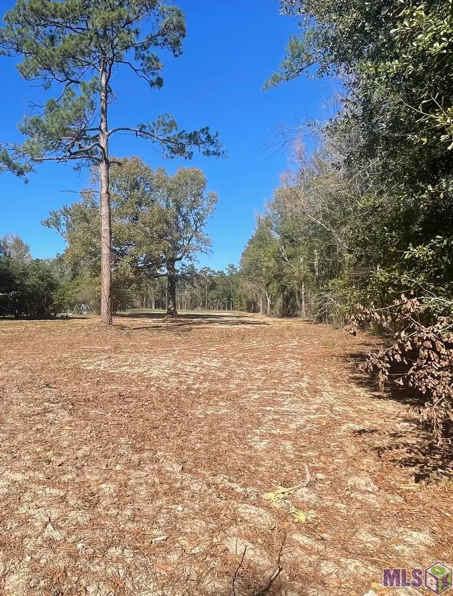 8635 Arnold Rd, Denham Springs, LA 70726 - #3