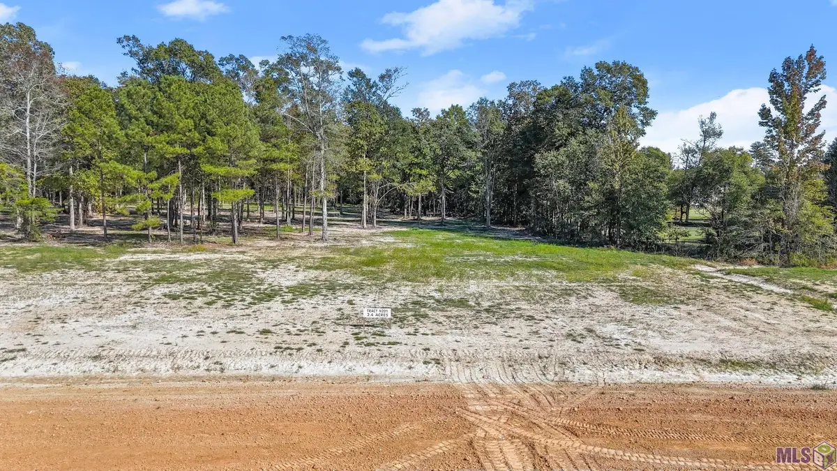 N-2-D-1-B Little Azalea Drive, Zachary, LA 70791 - #1