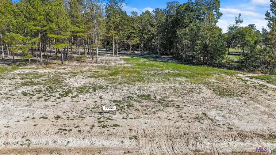 N-2-D-1-B Little Azalea Drive, Zachary, LA 70791 - #2