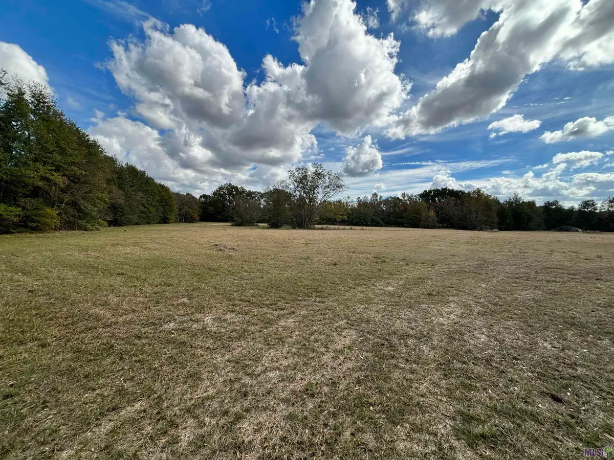 15838 Blackwater Rd, Central, LA 70791 - #1