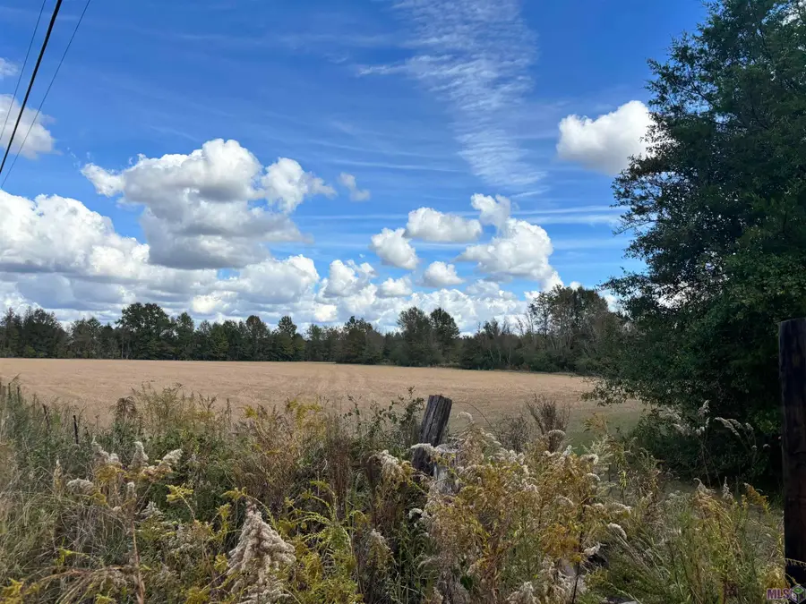 15838 Blackwater Rd, Central, LA 70791 - #3