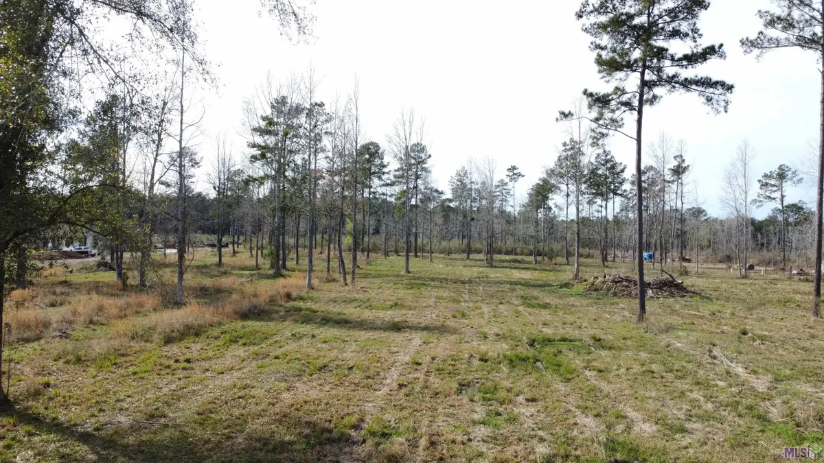 Lot 29 Tungoil Rd, Pine Grove, LA 70453 - #1