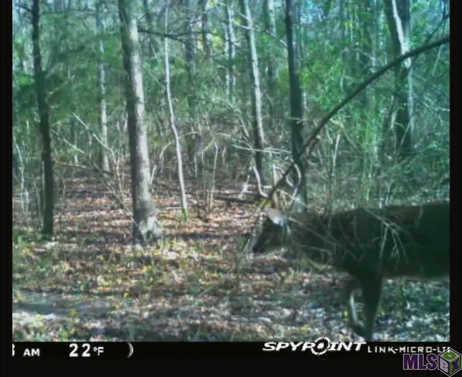 5903 Line Rd, Ethel, LA 70730 - #2