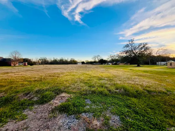 Lot C-3-A Taylor Sheets Rd, St. Amant, LA 70774