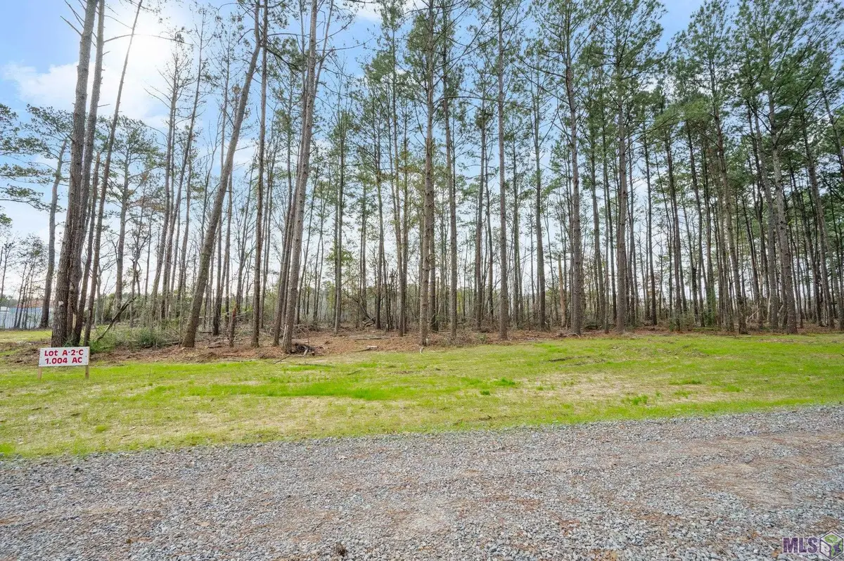 A-2-C Nona Hancock Lane, Greenwell Springs, LA 70739 - #1