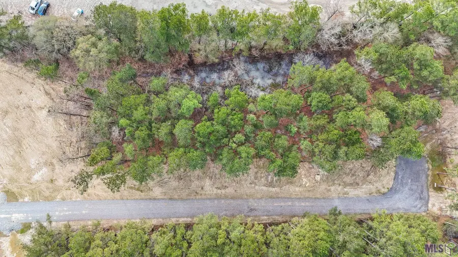 A-2-C Nona Hancock Lane, Greenwell Springs, LA 70739 - #2