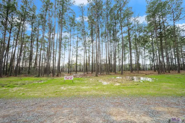 A-2-B Nona Hancock Lane, Greenwell Springs, LA 70739