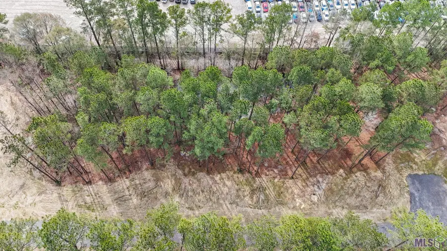 A-2-B Nona Hancock Lane, Greenwell Springs, LA 70739 - #2