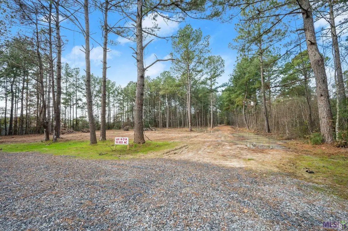 A-2-A Nona Hancock Lane, Greenwell Springs, LA 70739 - #1