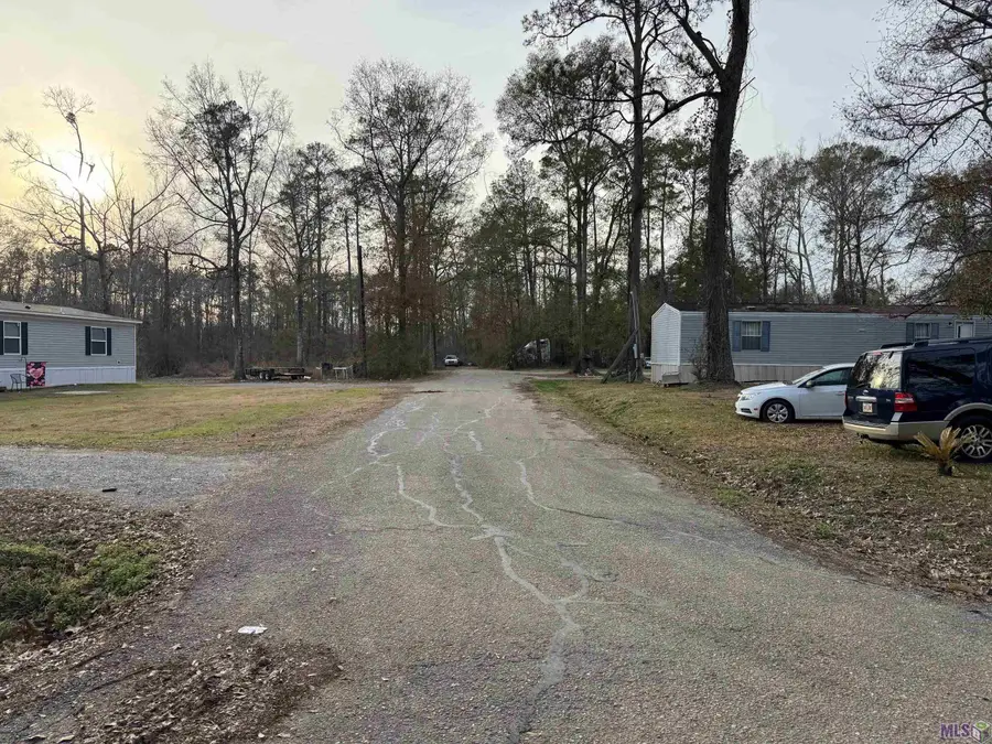 25420 Wisteria Ln, Springfield, LA 70462 - #3