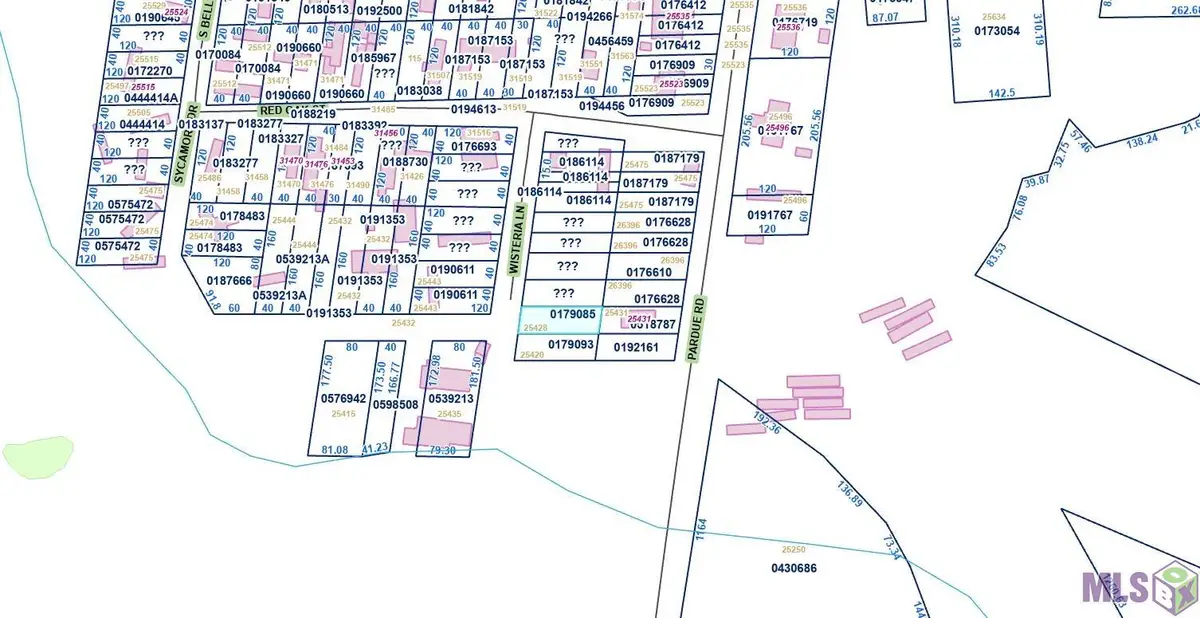 25428 Wisteria Ln, Springfield, LA 70462 - #1