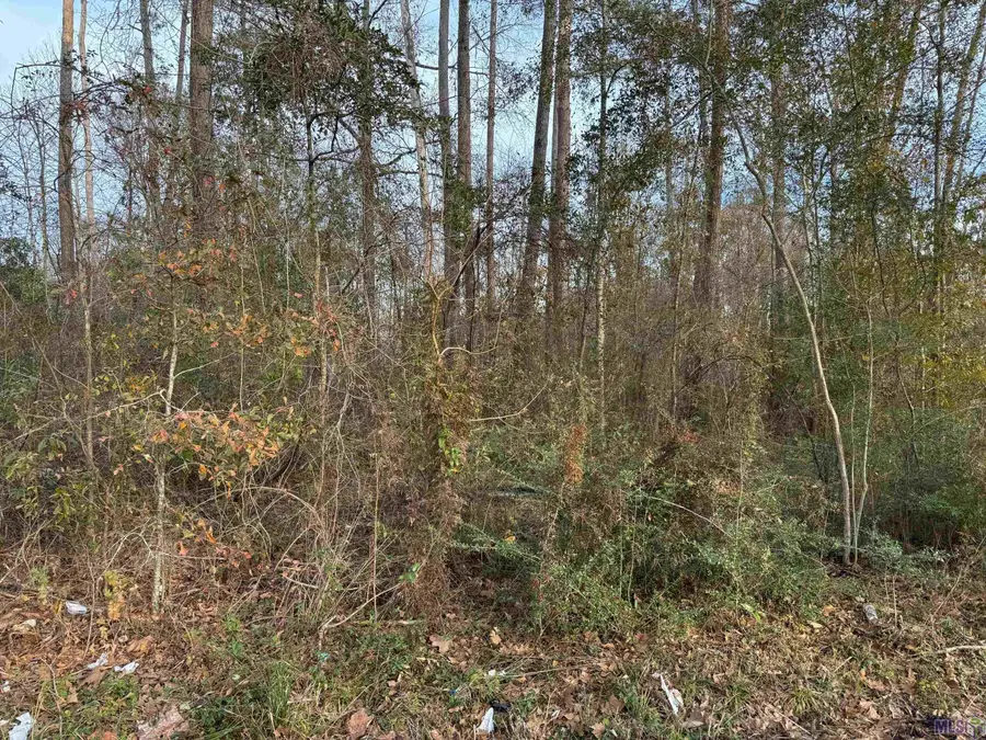 25428 Wisteria Ln, Springfield, LA 70462 - #3