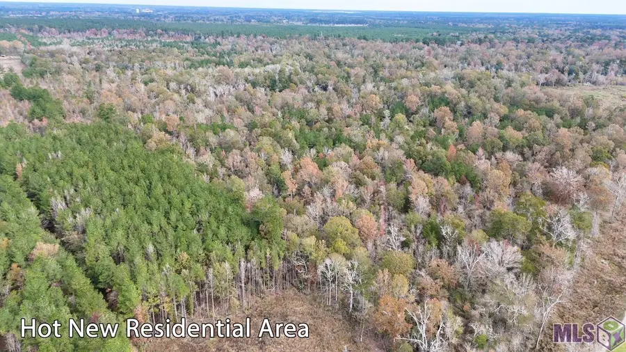 TBD 1 Joe May Rd, Denham Springs, LA 70726 - #2
