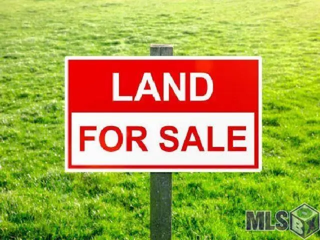 Lot A1 Reinninger Rd, Denham Springs, LA 70706 - #2