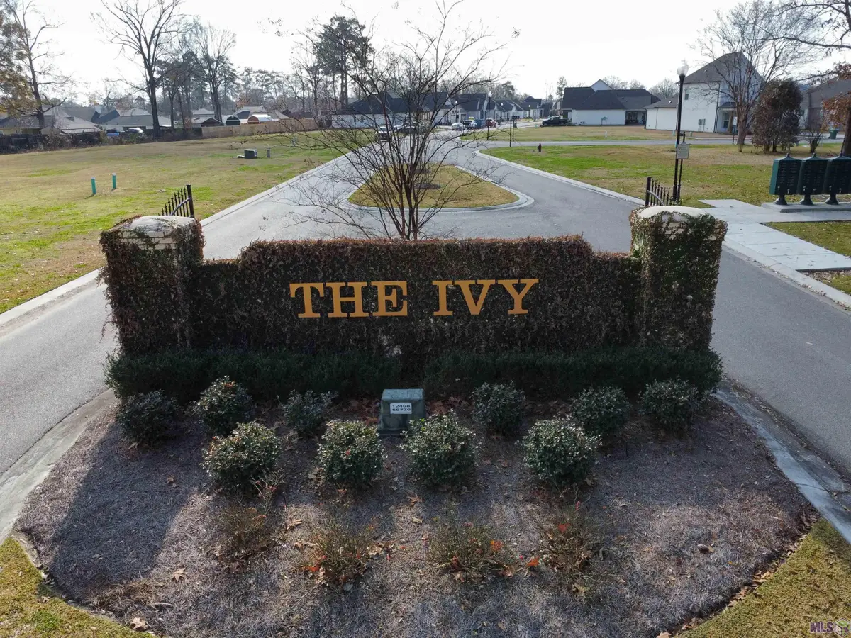 1168 Ivy Ct, Denham Springs, LA 70726 - #1
