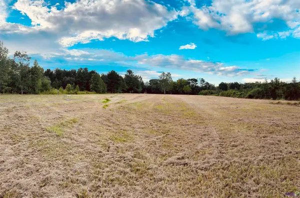 2021 Nesom Rd, Denham Springs, LA 70706