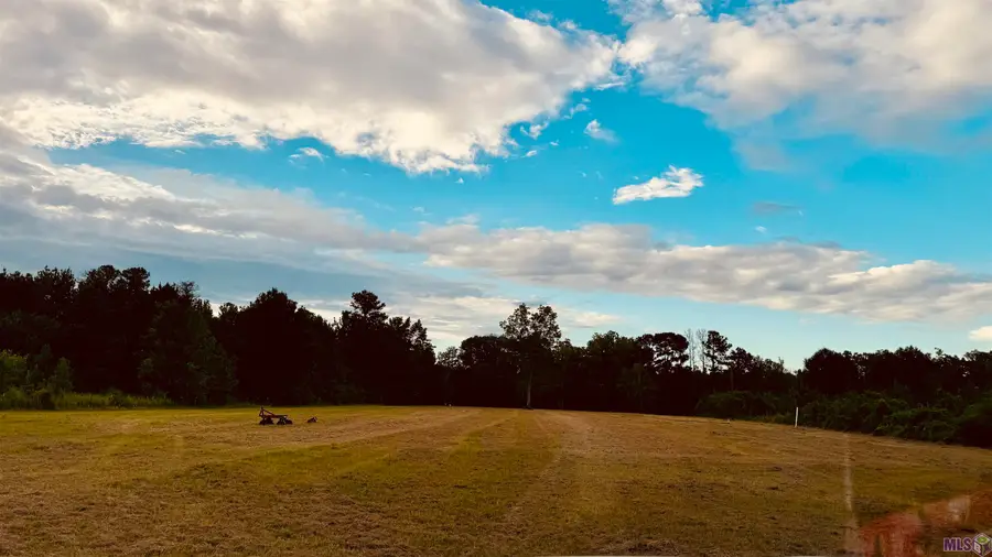 2021 Nesom Rd, Denham Springs, LA 70706 - #2