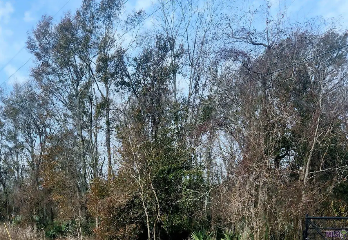 tbd Denver Hurst Rd, Gonzales, LA 70737 - #1